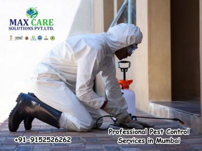 professional-pest-control-service-in-mumbai